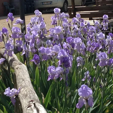 Vakantieboerderij Il Sambuco