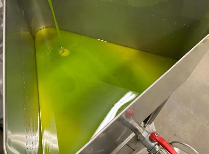 Il Sambuco * סיינה