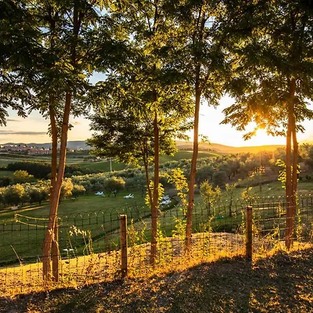 Gospodarstwo agroturystyczne Il Sambuco Siena