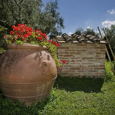 Il Sambuco *